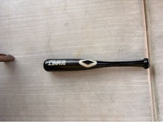 Mini baseball bat