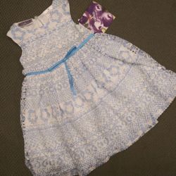 12 mo Blueberri Blvd baby girl dress