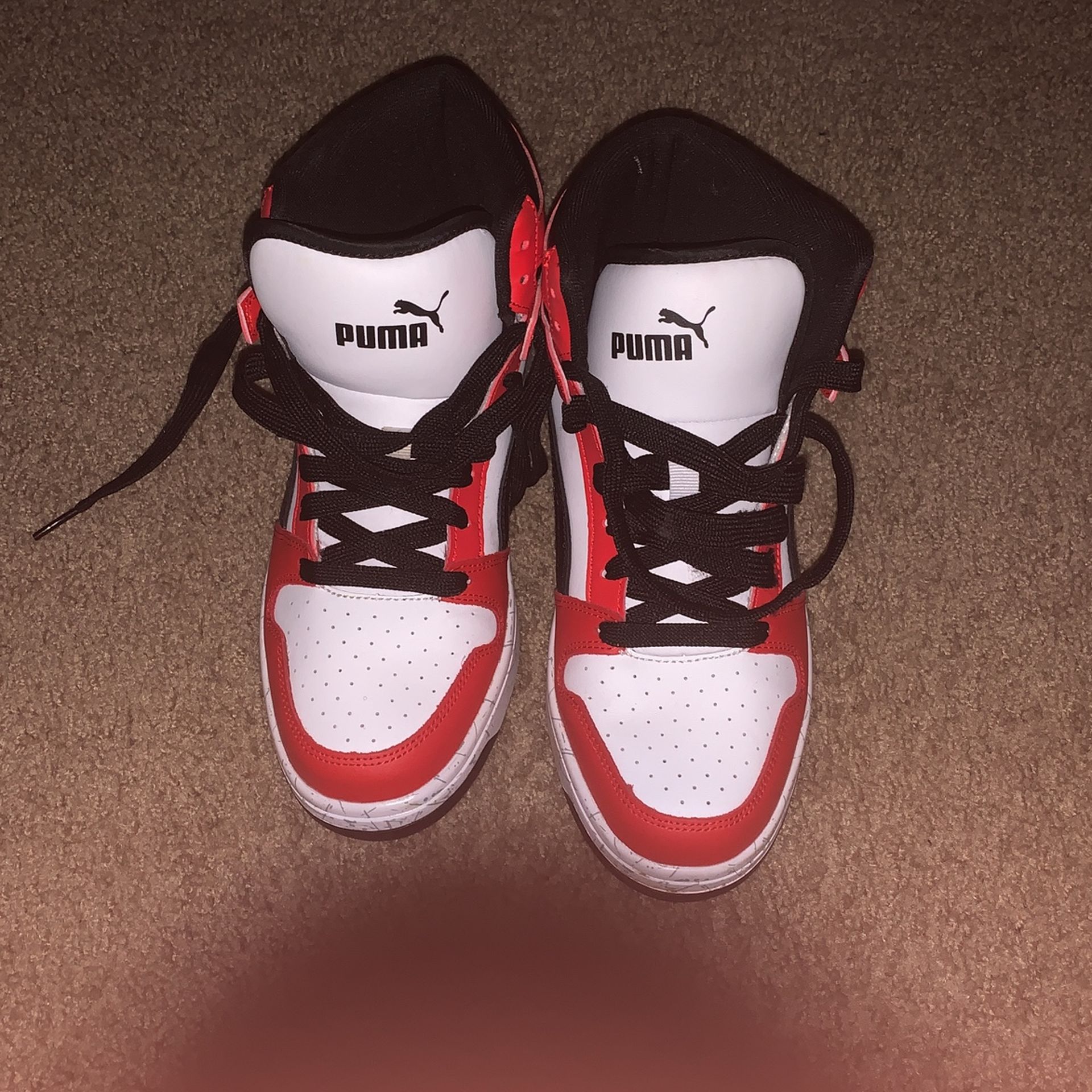 Pumas