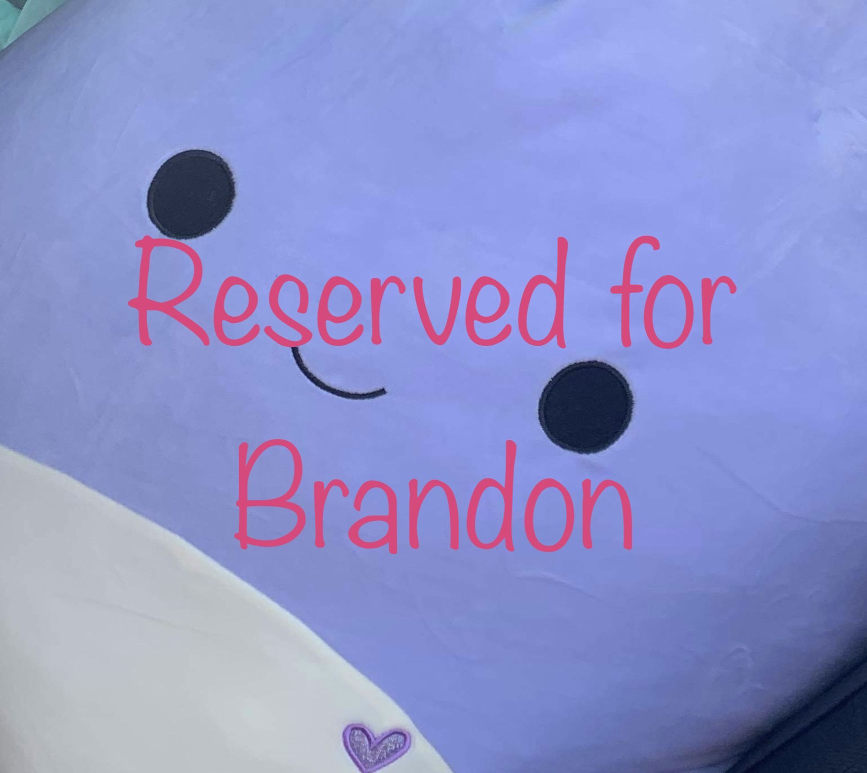 Plush Reserved For Brandon Only