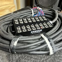 Audio Snake 100’x24cnannel