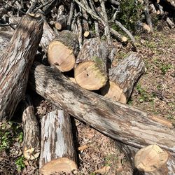 Free wood in Greensboro