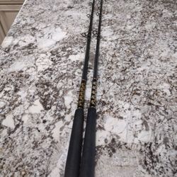 Pair (2) Shimano Tallus Rods Like New