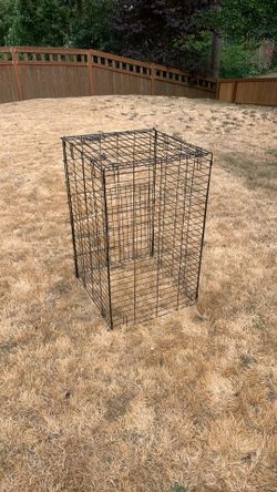 Dog Kennel