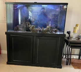 Fish tank with stand