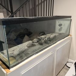 125 Gallon Aquarium 