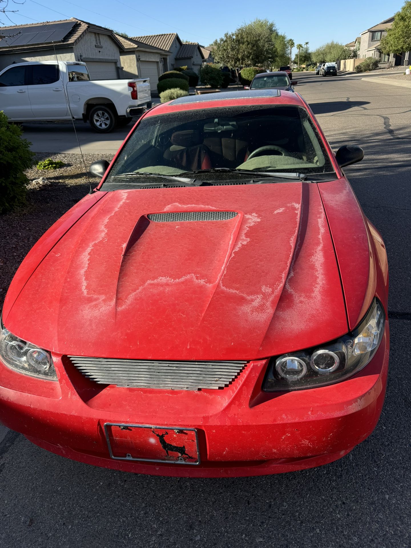 2000 Ford Mustang