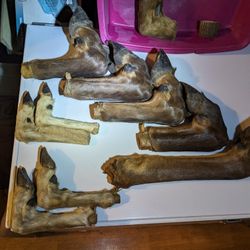 Elk And Deer Feet Gun Racks!!