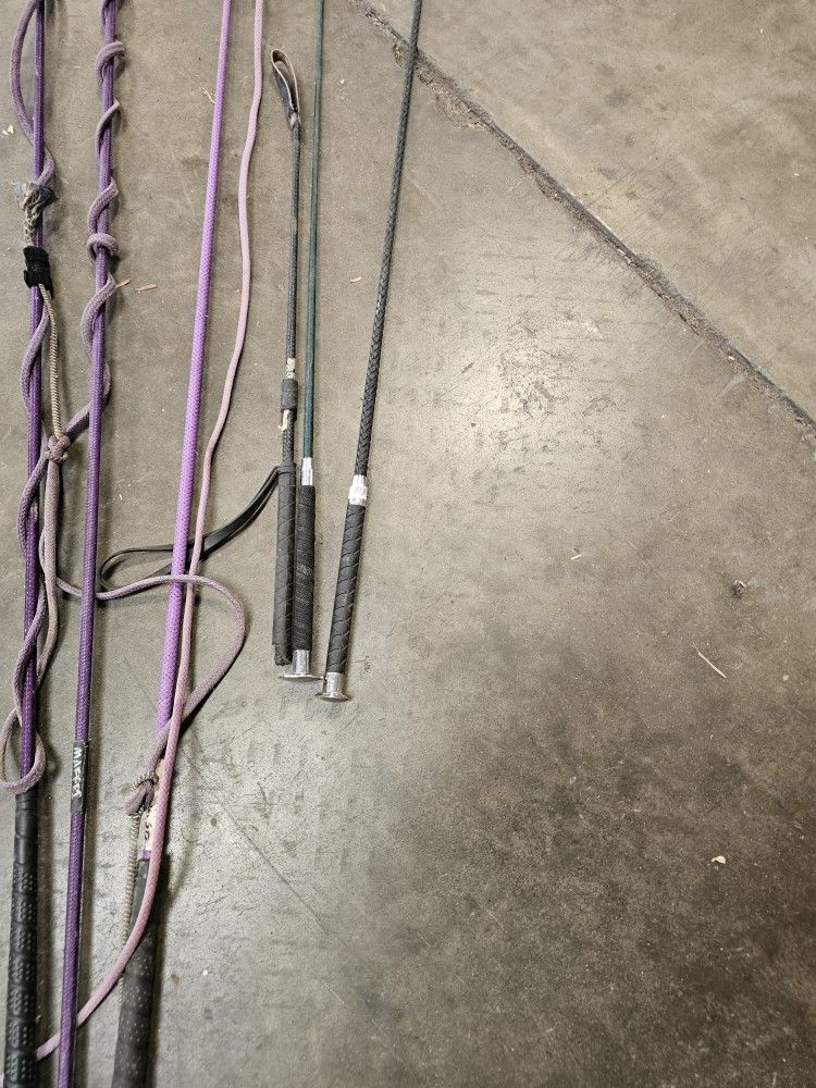 Horse whips.
Dressage Lunging