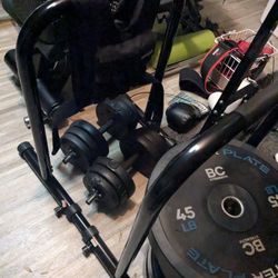 Dip Bar (GREAT CONDITION)