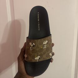 Limited Peanut Coach Slides 