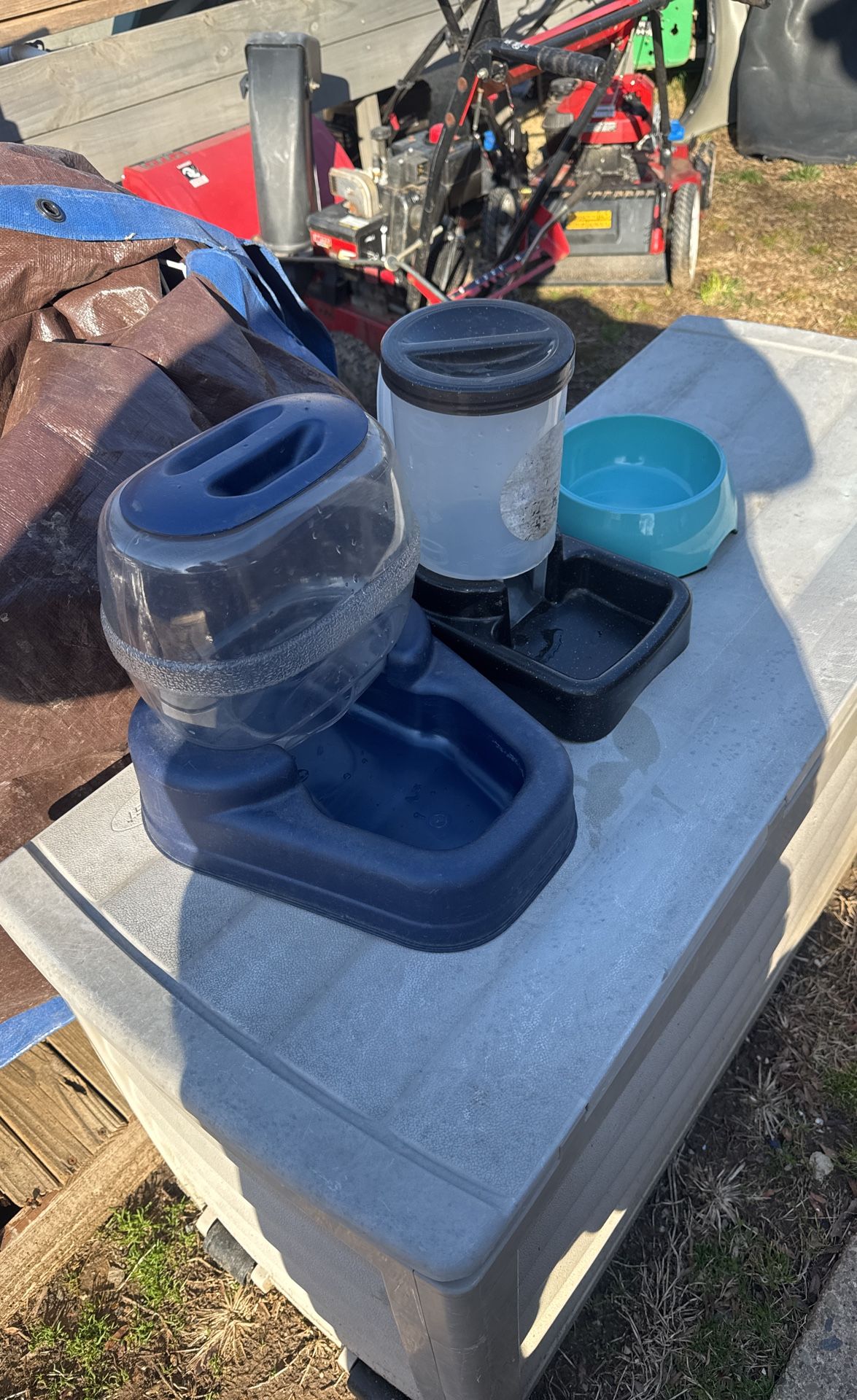 dog bowls