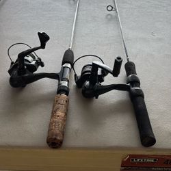 Pair Of Ultra Light Poles