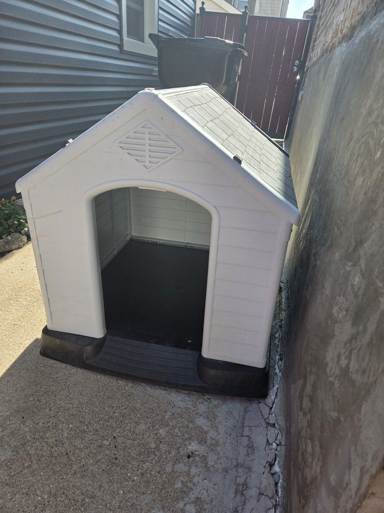 Dog House