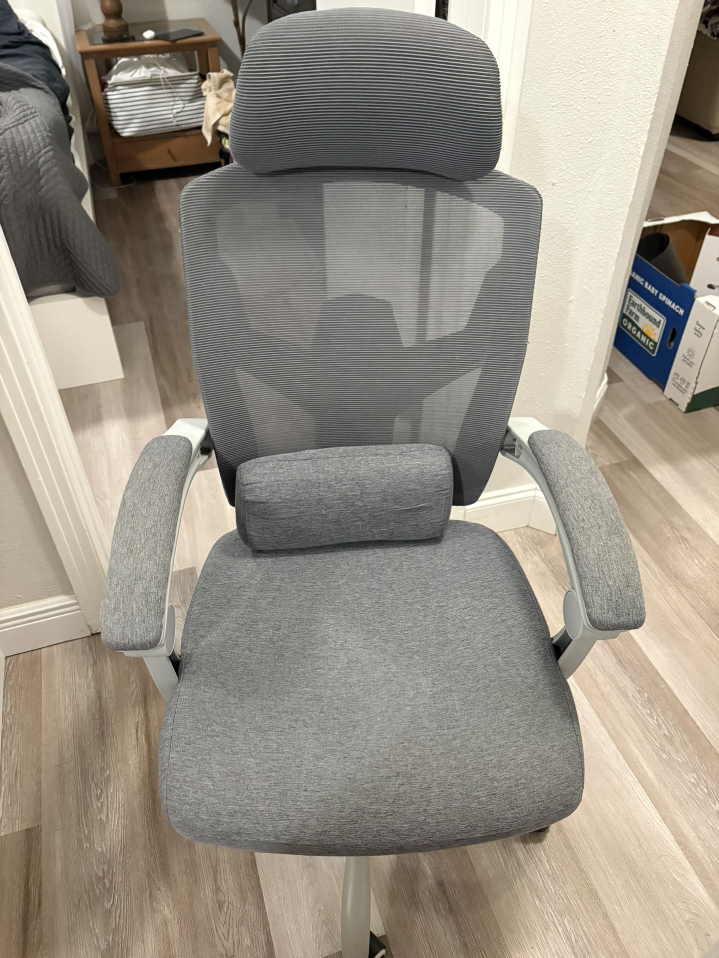 Ergonomic Office chair