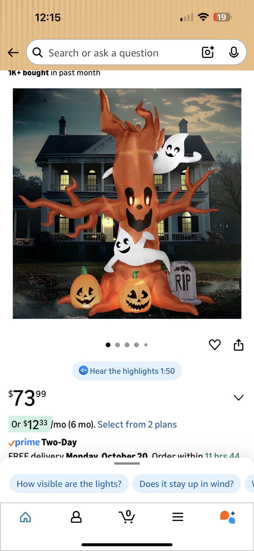 Halloween Inflatable
