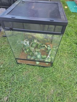 Reptile enclosure