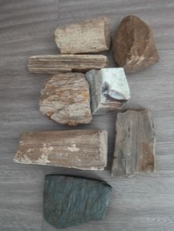Petrified wood