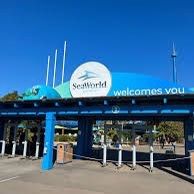 SeaWorld San Diego Tickets Available 🐬🐠🐙🐟🐋🐳