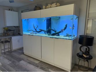 Amazing Saltwater 300gallon Aquarium/Fish Tank