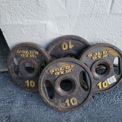 4 -10 pounders  GOLD GYM PLATES 