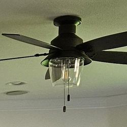 Hunter Allegheny 52" Light\Fan, Bronze