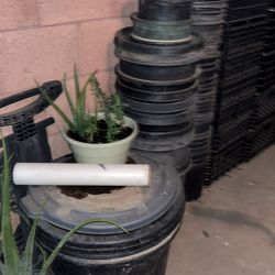 Many Plant Buckets