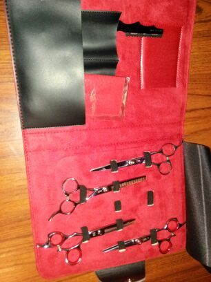 Chi Shears set