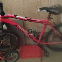 Schwinn Bike