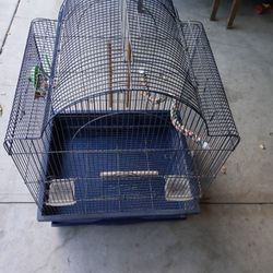 Bird Cage