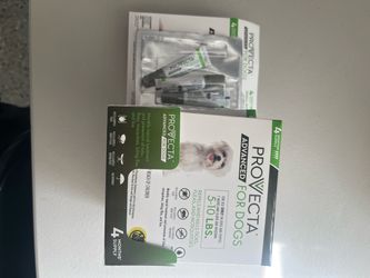 Provecta