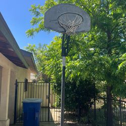 Lifetime Portable Basketball Hoop – Adjustable Height + Fillable Base