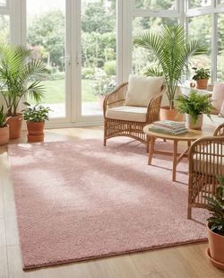 8’ x 10’ pink Solid Frieze Rug