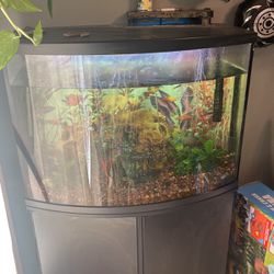 36 Gallon Fish Tank
