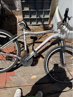 I have 4 bicycles. Need tlc. Some cleanning
