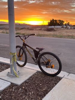 SE Beastmode 29in converted