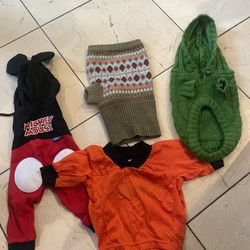 Chihuahua dog clothes just wash
