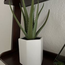 Faux Aloe Plant With White Ceramic Vase 