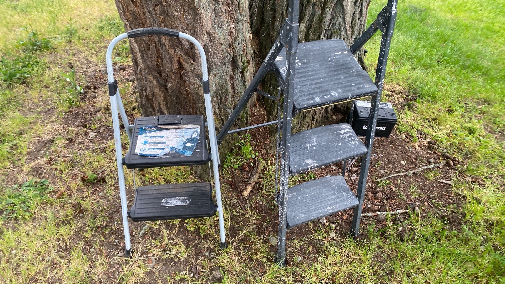 Ladder