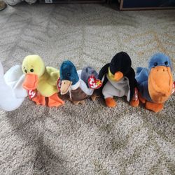Beanie Babies - Lot of 5 Birds 