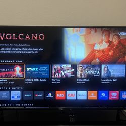 Vizio 65in TV