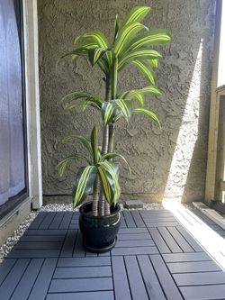 Green Ceramic Planter 