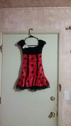 Ladybug costume youth Size s/m