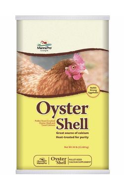 Oyster shell