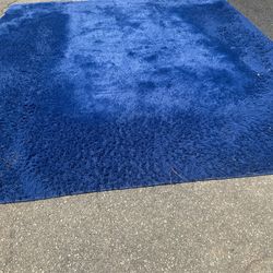 Blue Rug Clean Smoke Free And Pet Free 