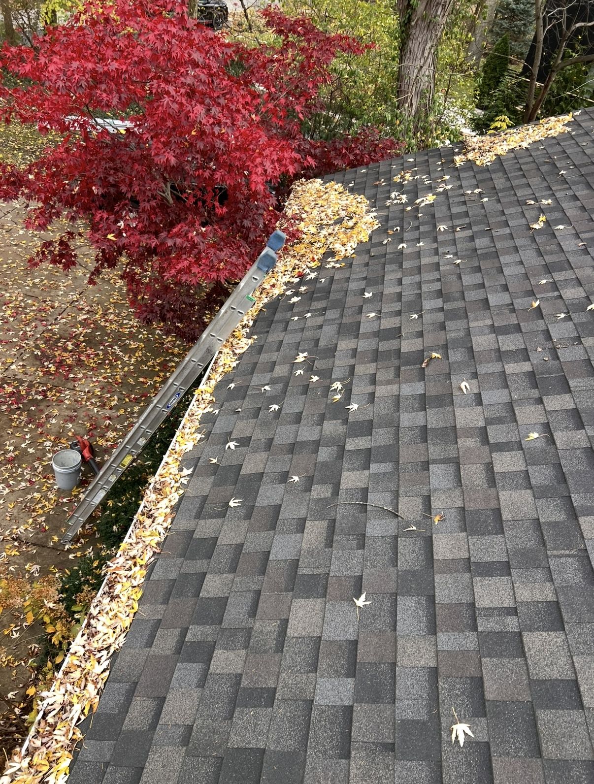 Gutter Cleaning