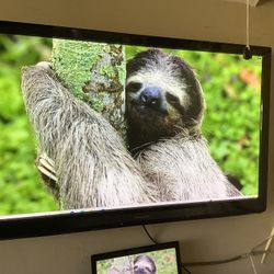 Panasonic 55’ Plasma  HDTV / 1080 Definition/No Base