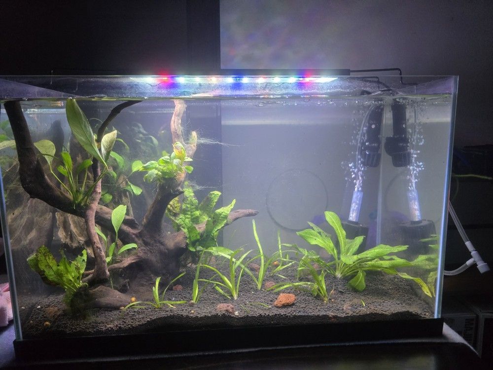 10 Gallon Fish Tank / Aquarium
