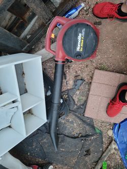 Homelite Blower.