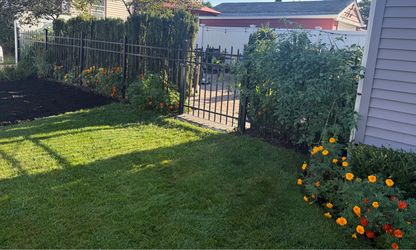 Black iron fence